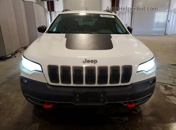 1C4PJMBX9KD399337 2019 JEEP CHEROKEE White 