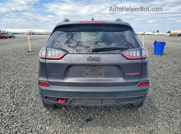 1C4PJMBX9LD517727 2020 JEEP CHEROKEE Серый Вид сзади