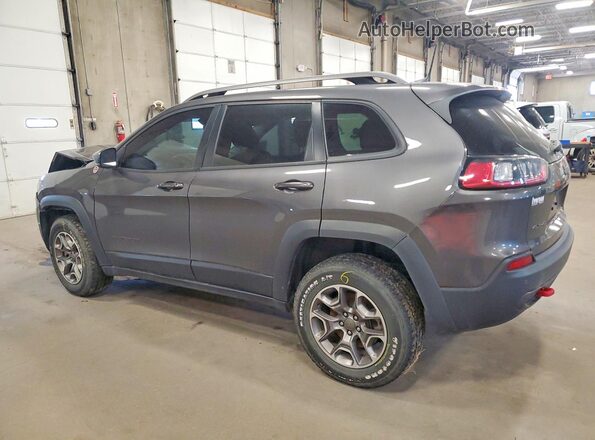 1C4PJMBX9LD636409 2020 JEEP CHEROKEE Gray Tył lewy
