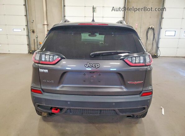 1C4PJMBX9LD636409 2020 JEEP CHEROKEE Gray Widok z tyłu