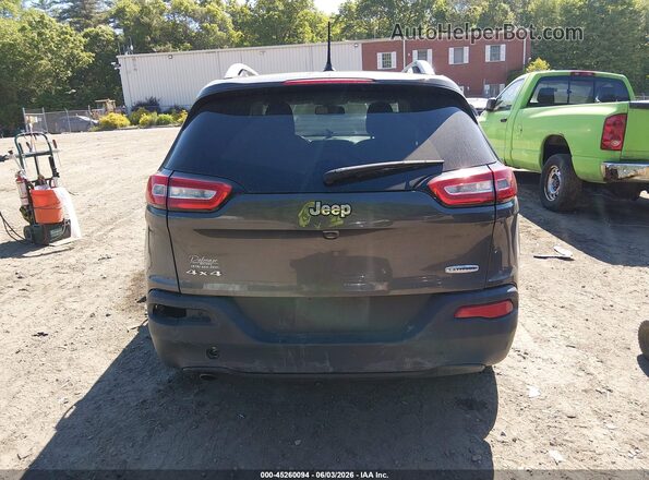 1C4PJMCB4HW509937 2017 JEEP CHEROKEE Gray 
