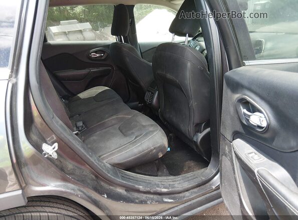 1C4PJMCB9GW100640 2016 JEEP CHEROKEE Gray Vista de la etiqueta del VIN