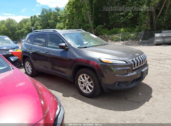 1C4PJMCB9GW100640 2016 JEEP CHEROKEE Gray Vista interior trasera