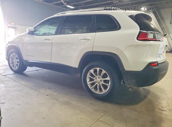 1C4PJMCB9LD589420 2020 JEEP CHEROKEE White Tył lewy
