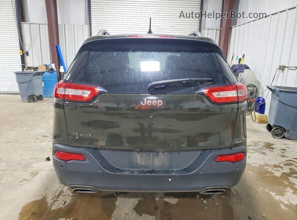 1C4PJMCS8HW530449 2017 JEEP CHEROKEE Зеленый Вид сзади