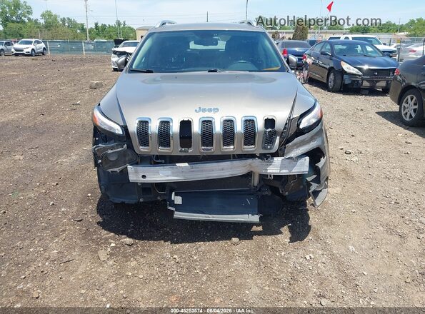 1C4PJMDB9HW638836 2017 JEEP CHEROKEE Gray Widok z przodu