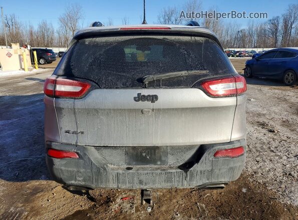 1C4PJMDS3GW310374 2016 JEEP CHEROKEE Silver Vista trasera