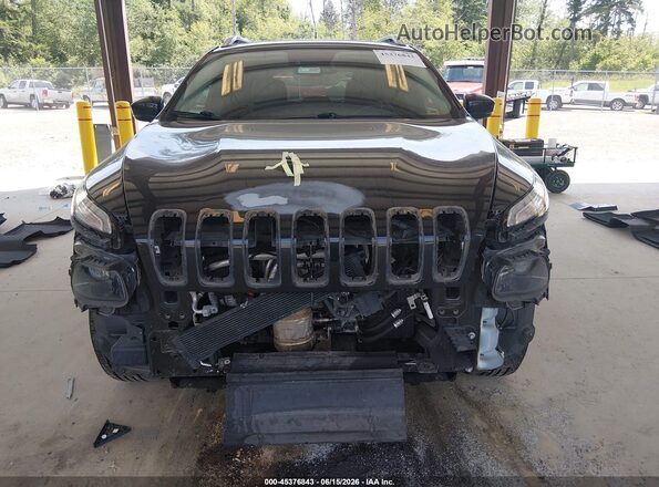 1C4PJMDS5GW123654 2016 JEEP CHEROKEE Black Vista interior trasera