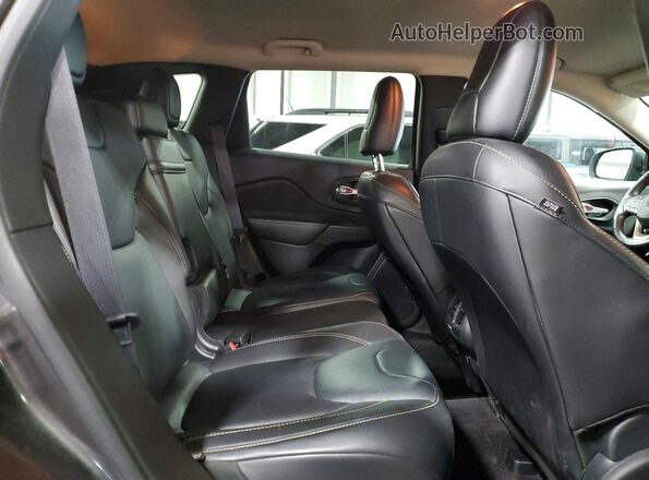 1C4PJMDS6GW286393 2016 JEEP CHEROKEE Серый Вид задней части салона