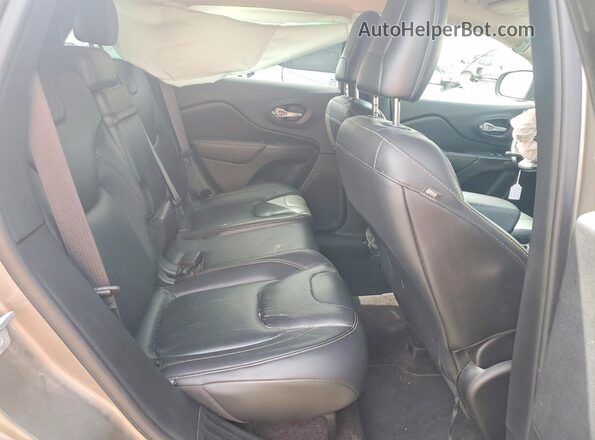 1C4PJMDS9GW256059 2016 JEEP CHEROKEE Gold Vista interior trasera