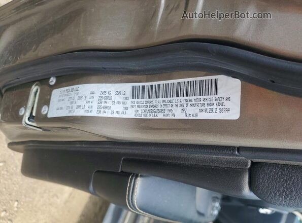1C4PJMDS9GW256059 2016 JEEP CHEROKEE Gold Vista de la etiqueta del VIN