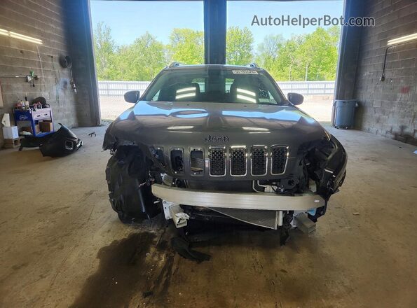 1C4PJMDX0LD603568 2020 JEEP CHEROKEE Gray 