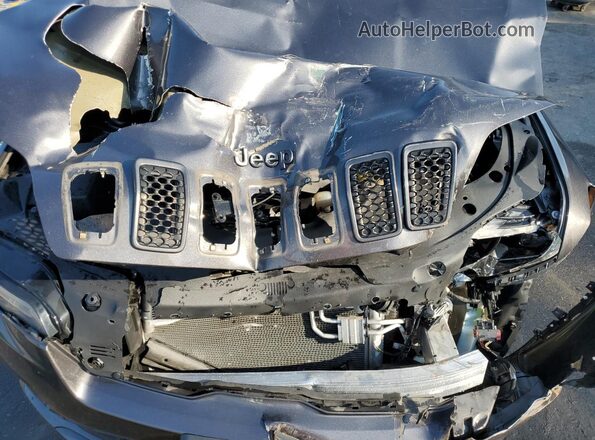 1C4PJMDX0LD617941 2020 JEEP CHEROKEE Gray Engine compartment view