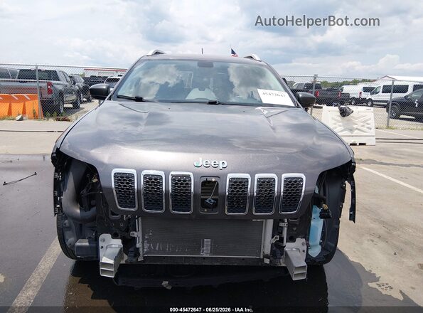1C4PJMDX3KD259801 2019 JEEP CHEROKEE Серый Вид задней части салона