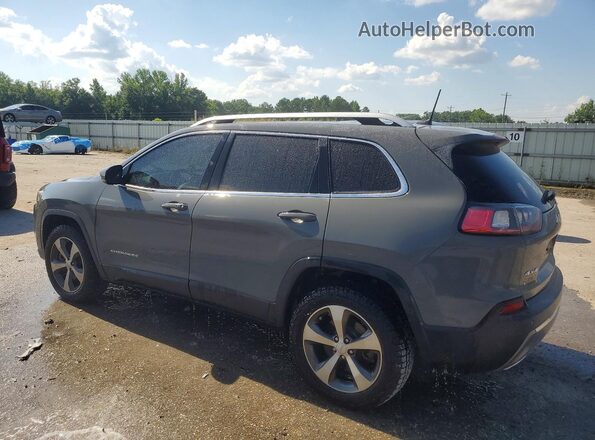 1C4PJMDX3LD609994 2020 JEEP CHEROKEE Gray Tył lewy