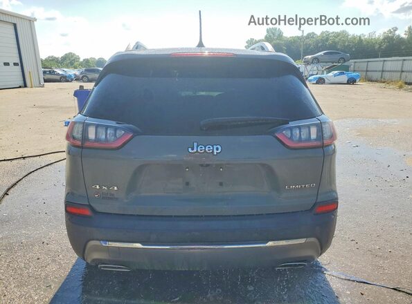 1C4PJMDX3LD609994 2020 JEEP CHEROKEE Gray Widok z tyłu