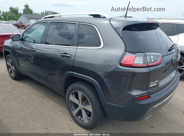 1C4PJMDX5LD559261 2020 JEEP CHEROKEE Gray უკანა მარცხენა