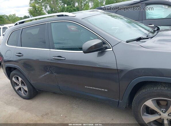 1C4PJMDX5LD559261 2020 JEEP CHEROKEE Gray უკანა სალონის ხედი