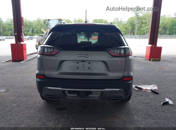 1C4PJMDX6LD529542 2020 JEEP CHEROKEE Silver 