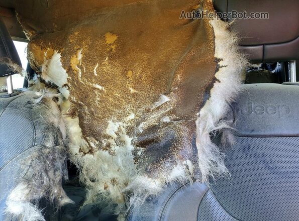 1C4PJMDX6LD632296 2020 JEEP CHEROKEE Черный Вид задних сидений
