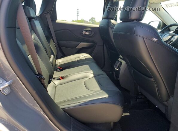 1C4PJMDXXKD476455 2019 JEEP CHEROKEE Серый 