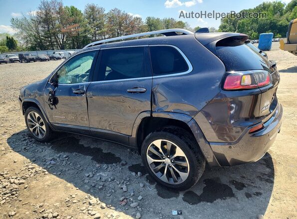 1C4PJMJN7KD295137 2019 JEEP CHEROKEE Gray Հետևի ձախ