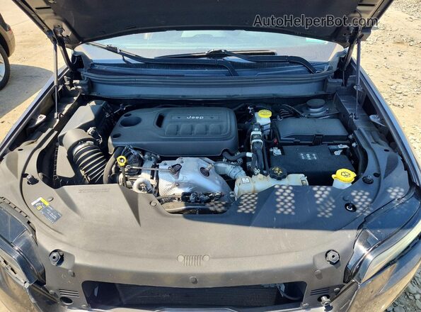 1C4PJMJN7KD295137 2019 JEEP CHEROKEE Gray Սալոնի հետևի տեսք