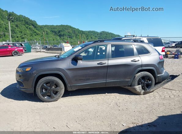1C4PJMLB0LD540798 2020 JEEP CHEROKEE Gray Панорамний вид салону 360°