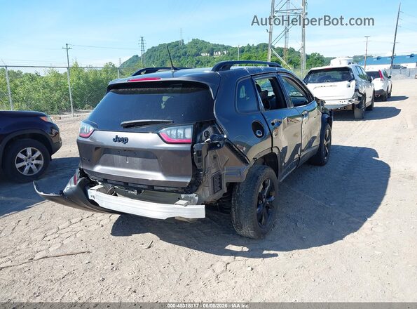 1C4PJMLB0LD540798 2020 JEEP CHEROKEE Gray Задня права чверть