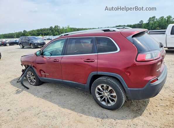 1C4PJMLB3KD341257 2019 JEEP CHEROKEE Burgundy Հետևի ձախ