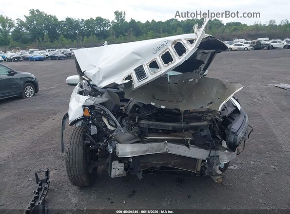 1C4PJMLB5KD474831 2019 JEEP CHEROKEE White Вид щитка приладів