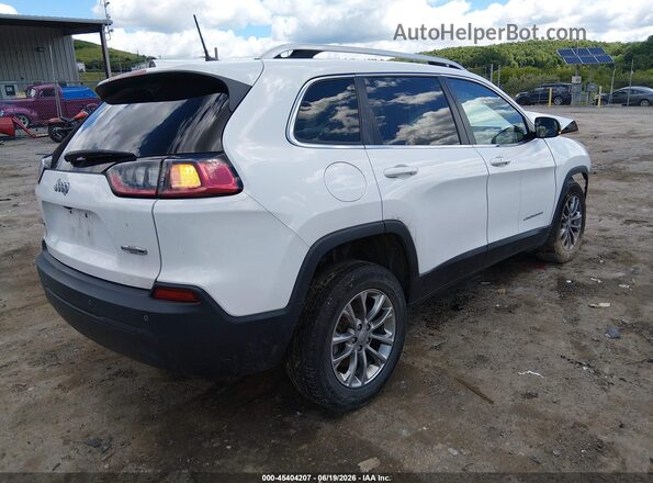 1C4PJMLB5LD602566 2020 JEEP CHEROKEE Белый Задняя правая четверть