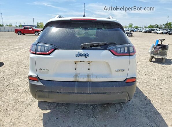 1C4PJMLB7KD481330 2019 JEEP CHEROKEE Белый Вид сзади