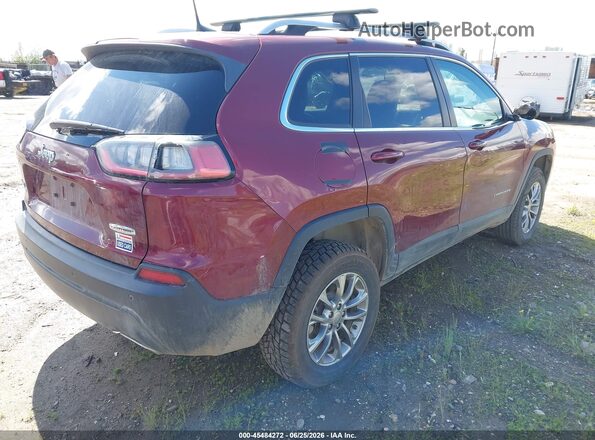 1C4PJMLN8KD229595 2019 JEEP CHEROKEE Red უკანა მარჯვენა