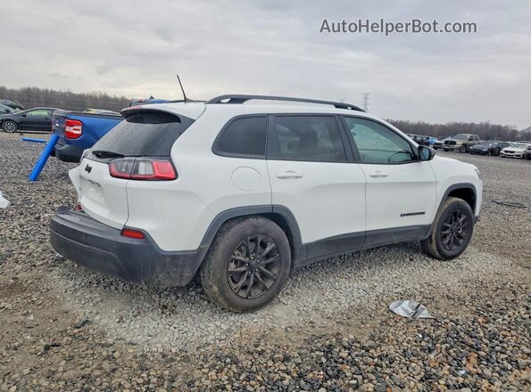 1C4PJMMB4PD112852 2023 JEEP CHEROKEE Белый 