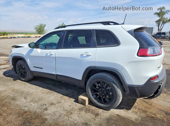 1C4PJMMB8PD103068 2023 JEEP CHEROKEE White 
