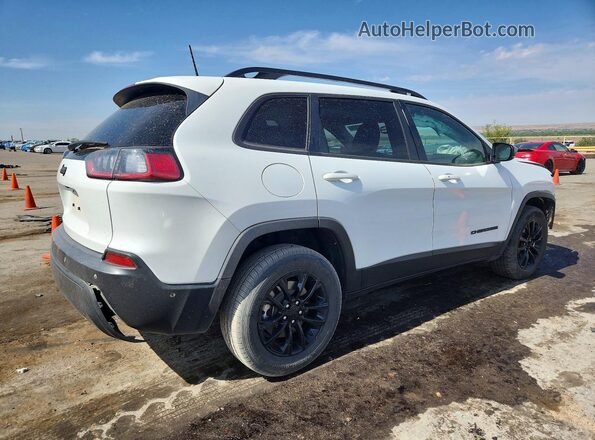 1C4PJMMB8PD103068 2023 JEEP CHEROKEE White 