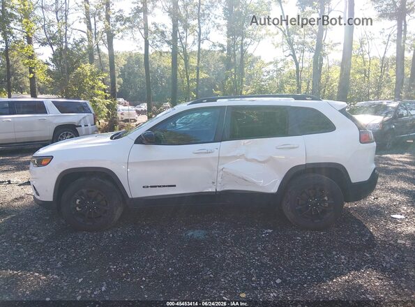 1C4PJMMBXPD111513 2023 JEEP CHEROKEE Белый Панорамный вид салона 360°