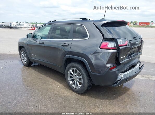 1C4PJMMX2MD206767 2021 JEEP CHEROKEE Gray Հետևի ձախ