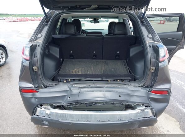 1C4PJMMX2MD206767 2021 JEEP CHEROKEE Gray 