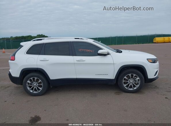 1C4PJMMX6MD142023 2021 JEEP CHEROKEE Белый Вид задней части салона