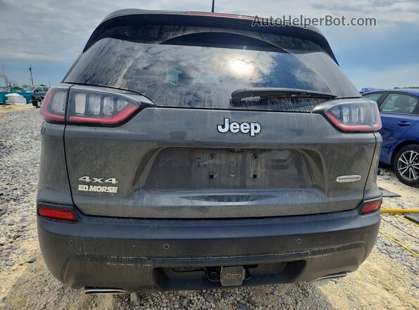 1C4PJMMXXMD199342 2021 JEEP CHEROKEE Серый Вид сзади