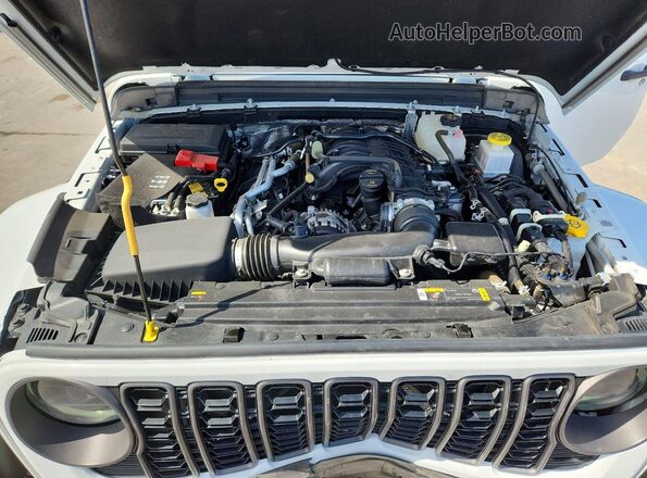 1C6HJTAG1RL112046 2024 JEEP GLADIATOR White Սալոնի հետևի տեսք