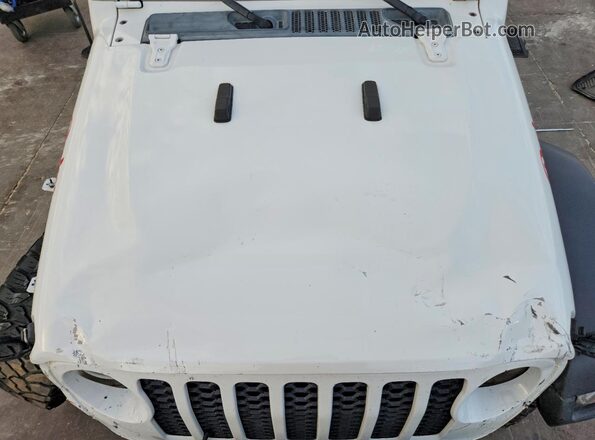 1C6JJTAG0LL136167 2020 JEEP GLADIATOR Белый 