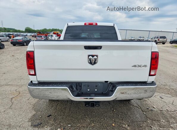 1C6RR7XT0PS566333 2023 RAM 1500 Белый Вид сзади