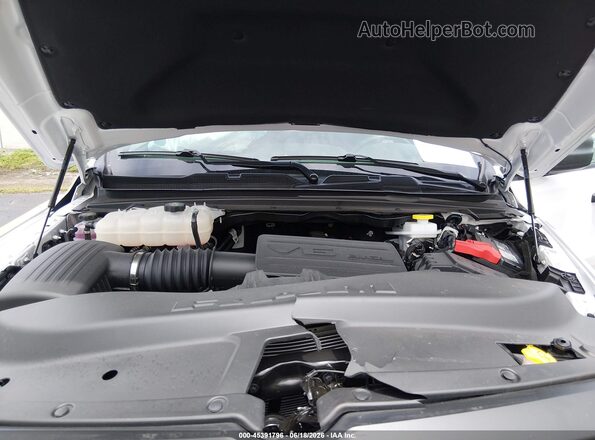 1C6RRFCG7TN295833 2026 RAM 1500 White Widok z tyłu
