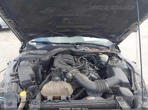 1FA6P8AM0G5241887 2016 FORD MUSTANG Gray უკანა ხედი