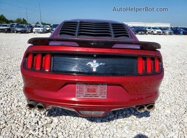 1FA6P8AM0G5298591 2016 FORD MUSTANG Red Вид ззаду