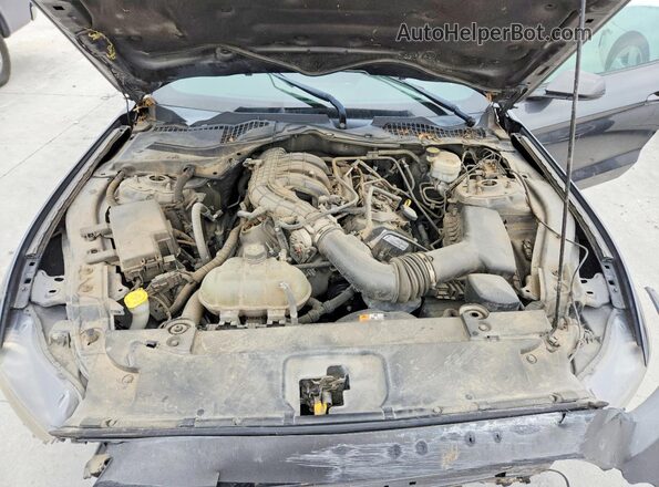 1FA6P8AM0H5277063 2017 FORD MUSTANG Серый Вид задней части салона