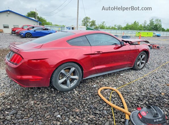 1FA6P8AM2G5212147 2016 FORD MUSTANG Бордовый Задняя правая четверть